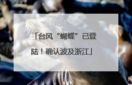 台风“蝴蝶”已登陆！确认波及浙江