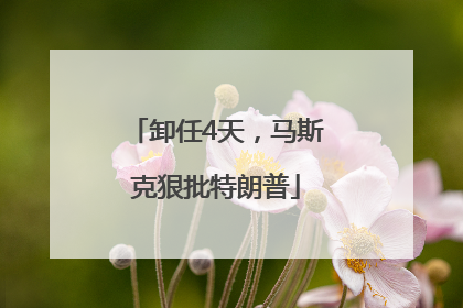 卸任4天，马斯克狠批特朗普