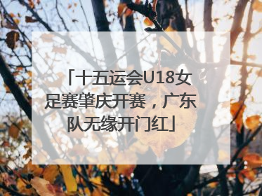 十五运会U18女足赛肇庆开赛，广东队无缘开门红