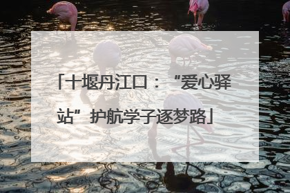 十堰丹江口：“爱心驿站”护航学子逐梦路