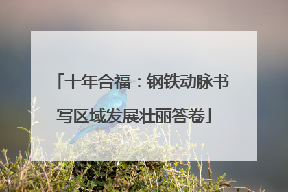 十年合福：钢铁动脉书写区域发展壮丽答卷