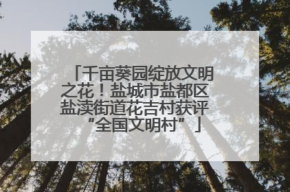 千亩葵园绽放文明之花！盐城市盐都区盐渎街道花吉村获评“全国文明村”