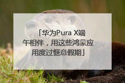 华为Pura X端午相伴，用这些鸿蒙应用度过惬意假期