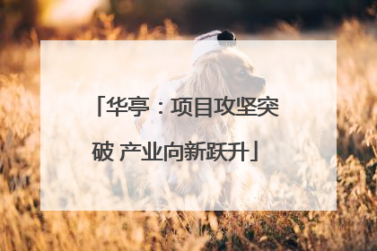 华亭：项目攻坚突破 产业向新跃升