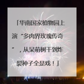 华南国家植物园上演“多肉界玫瑰传奇”，从呆萌树干到炸裂种子全是戏！
