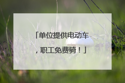 单位提供电动车，职工免费骑！