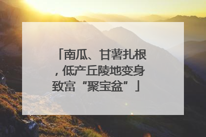 南瓜、甘薯扎根，低产丘陵地变身致富“聚宝盆”