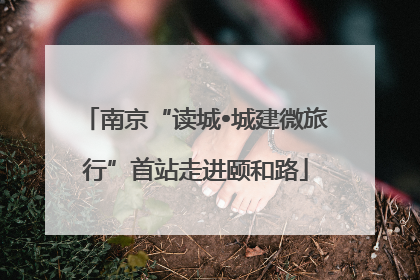 南京“读城•城建微旅行”首站走进颐和路