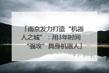 南京发力打造“机器人之城”：用3年时间“强攻”具身机器人