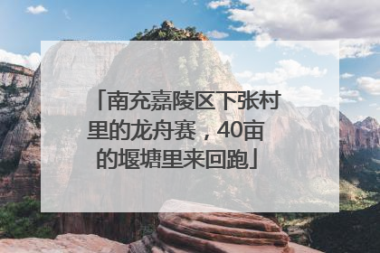 南充嘉陵区下张村里的龙舟赛，40亩的堰塘里来回跑