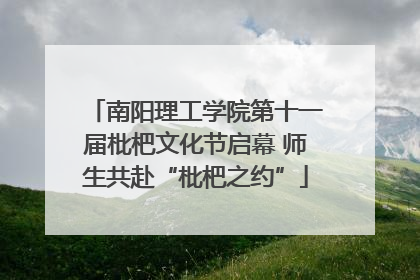 南阳理工学院第十一届枇杷文化节启幕 师生共赴“枇杷之约”