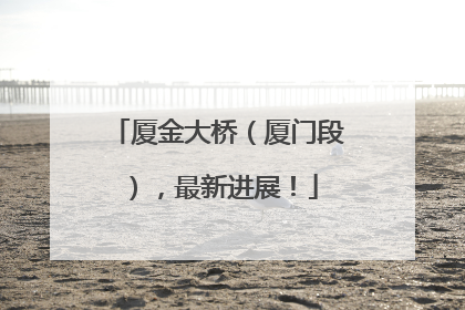 厦金大桥（厦门段），最新进展！