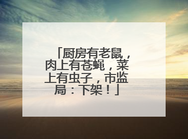 厨房有老鼠，肉上有苍蝇，菜上有虫子，市监局：下架！