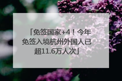 免签国家+4！今年免签入境杭州外国人已超11.6万人次