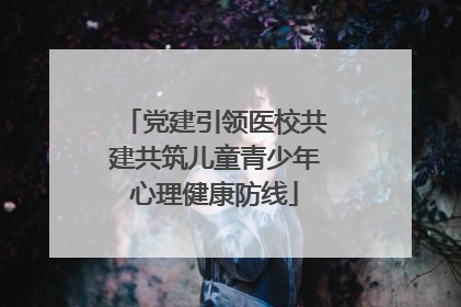 党建引领医校共建共筑儿童青少年心理健康防线