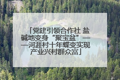 党建引领合作社 盐碱地变身“聚宝盆”——河涯村十年蝶变实现产业兴村群众富