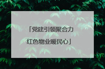 党建引领聚合力 红色物业暖民心