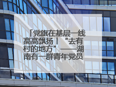 党旗在基层一线高高飘扬丨“去有村的地方”——湖南有一群青年党员这样选择