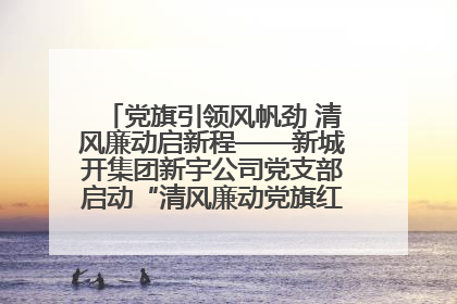 党旗引领风帆劲 清风廉动启新程——新城开集团新宇公司党支部启动“清风廉动党旗红”系列活动