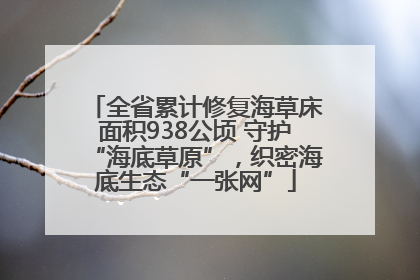 全省累计修复海草床面积938公顷 守护“海底草原”，织密海底生态“一张网”