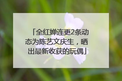 全红婵连更2条动态为陈艺文庆生，晒出最新收获的玩偶