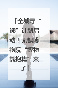 全城寻“熊”计划启动！无锡博物院“博物熊抱集”来了