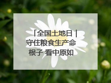 全国土地日｜守住粮食生产命根子 看中原如何“耕”新