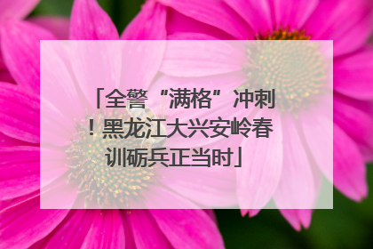 全警“满格”冲刺！黑龙江大兴安岭春训砺兵正当时
