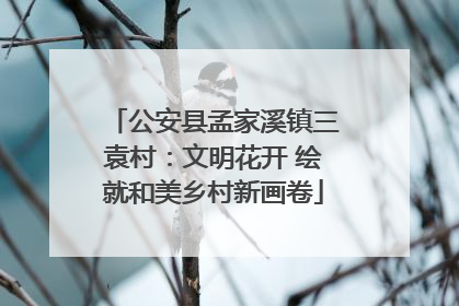 公安县孟家溪镇三袁村：文明花开 绘就和美乡村新画卷