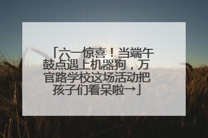 六一惊喜！当端午鼓点遇上机器狗，万官路学校这场活动把孩子们看呆啦→