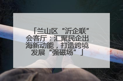 兰山区“沂企联”会客厅：汇聚民企出海新动能，打造跨境发展“强磁场”