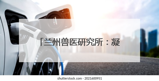兰州兽医研究所：凝聚创新动能 擎起畜牧业科技发展新标杆