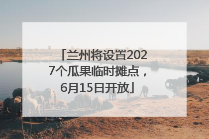 兰州将设置2027个瓜果临时摊点，6月15日开放