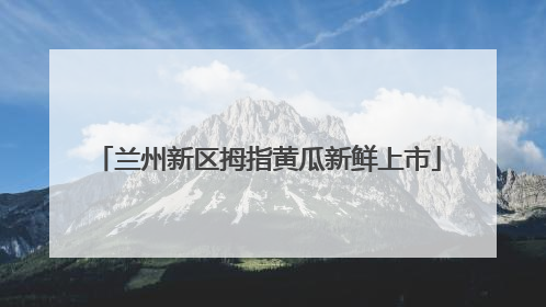 兰州新区拇指黄瓜新鲜上市