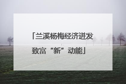 兰溪杨梅经济迸发致富“新”动能