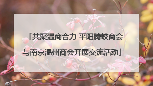 共聚温商合力 平阳腾蛟商会与南京温州商会开展交流活动