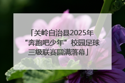 关岭自治县2025年“奔跑吧少年”校园足球三级联赛圆满落幕