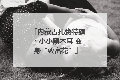 内蒙古扎赉特旗：小小黑木耳 变身“致富花”