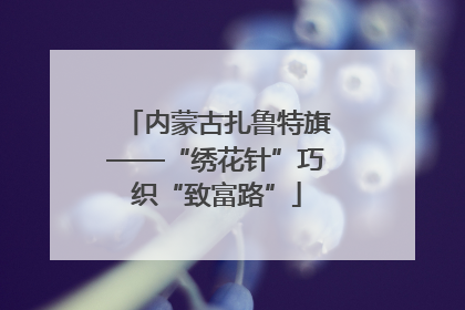 内蒙古扎鲁特旗——“绣花针”巧织“致富路”