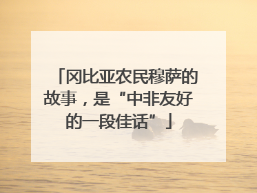 冈比亚农民穆萨的故事，是“中非友好的一段佳话”
