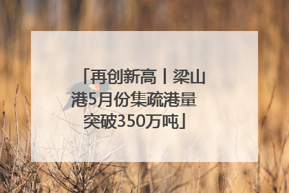 再创新高丨梁山港5月份集疏港量突破350万吨