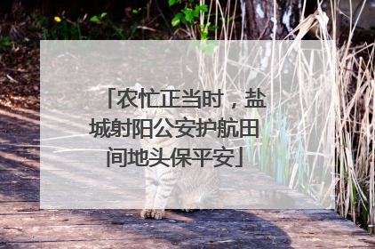 农忙正当时，盐城射阳公安护航田间地头保平安