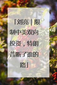 刘亮｜限制中美双向投资，特朗普断了谁的路