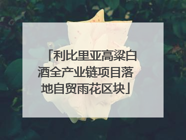 利比里亚高粱白酒全产业链项目落地自贸雨花区块