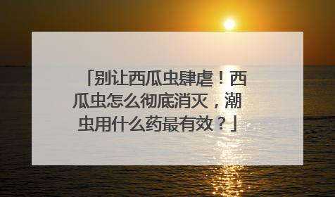 别让西瓜虫肆虐！西瓜虫怎么彻底消灭，潮虫用什么药最有效？