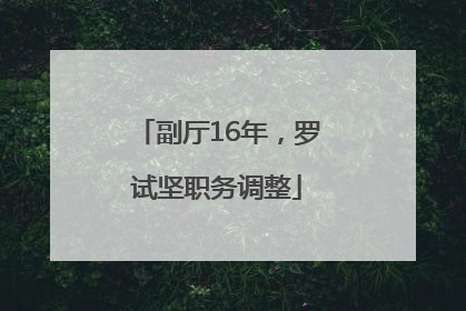 副厅16年，罗试坚职务调整