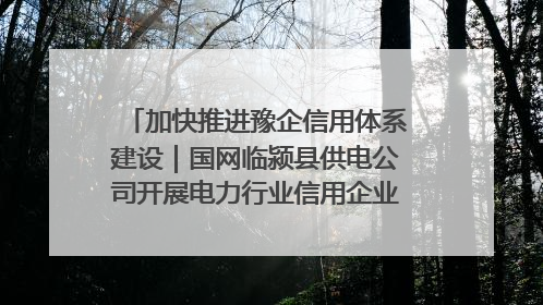 加快推进豫企信用体系建设｜国网临颍县供电公司开展电力行业信用企业现场咨询访谈工作