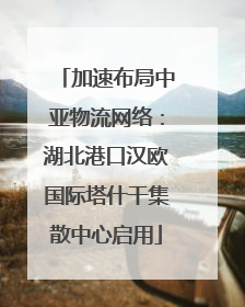 加速布局中亚物流网络：湖北港口汉欧国际塔什干集散中心启用