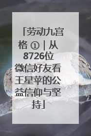 劳动九宫格 ①｜从8726位微信好友看王星苹的公益信仰与坚持