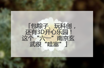包粽子、玩科创，还有3D开心乐园！这个“六一”南京玄武很“哇塞”